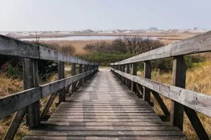 批发优惠